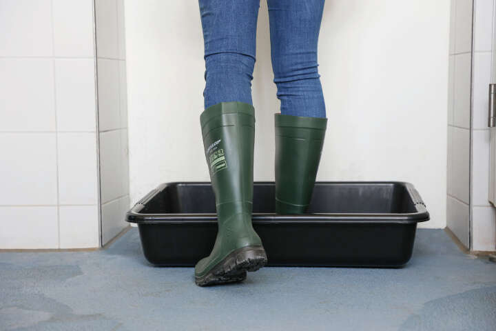 KERBL Stiefeldesinfektionswanne Premium